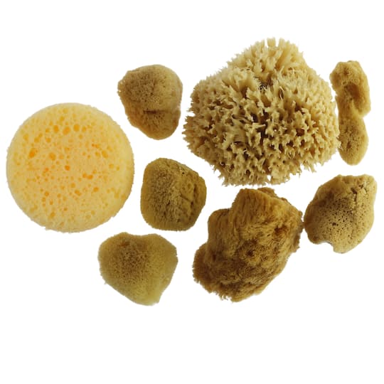 6 Pack: Variety Sponge Value Pack by Craft Smart&#xAE;